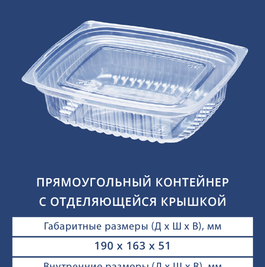 2500/2501 Прямоугольный контейнер с отделяющейся крышкой