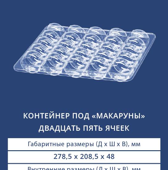 2025/2020 Контейнер под "макаруны" на 25 ячеек